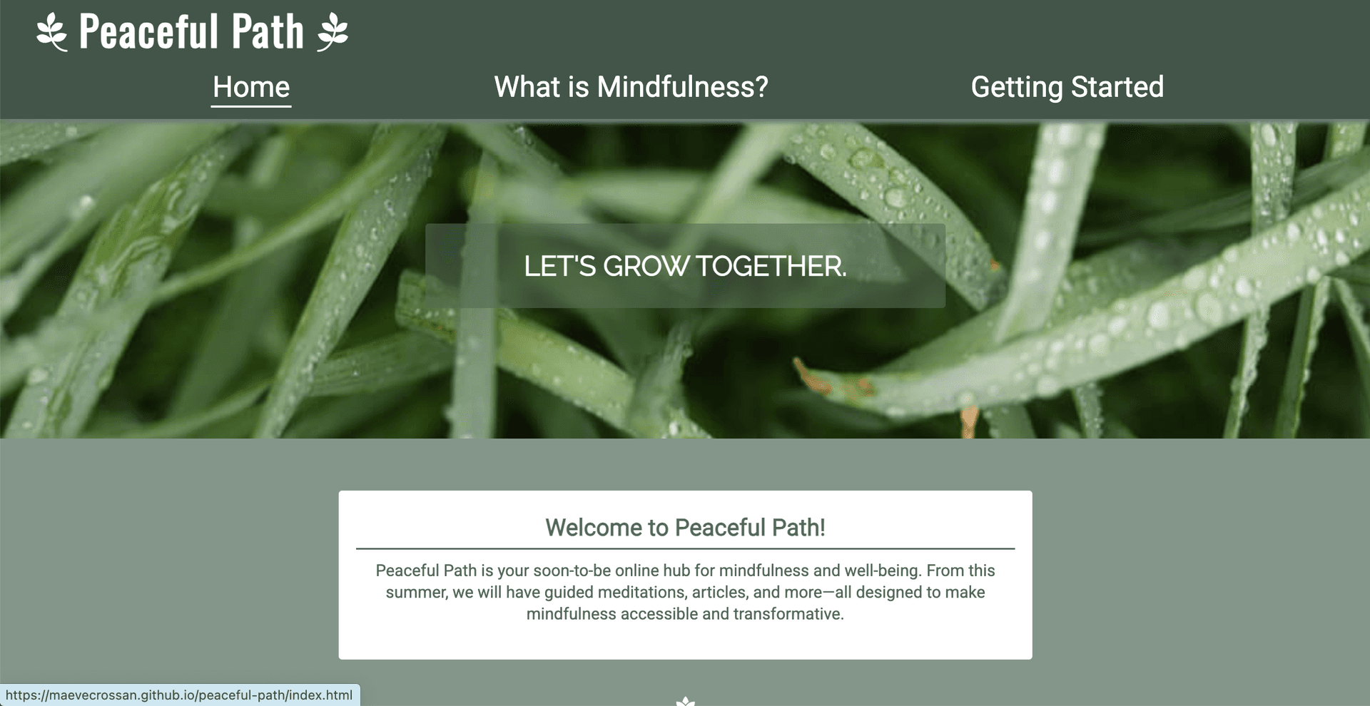 Peaceful Path website screenshot
